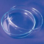 BOITE PETRI EN VERRE D.60 MM