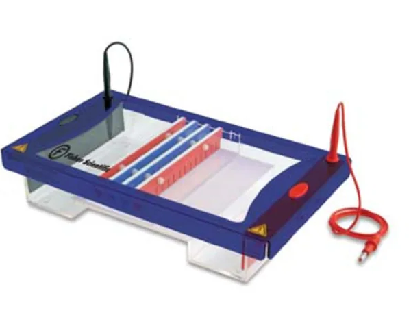 CUVE D'ELECTROPHORESE FISHERBRAND MAXI SYSTEME GEL HORIZONTAL